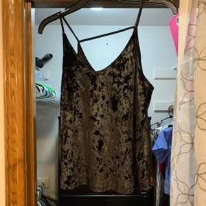 Lily Rain Velvet top